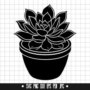 Suculenta SVG, Planta en maceta SVG, Cactus SVG, Planta de interior SVG, Planta SVG, Botánico SVG, Planta de interior SVG, Jardín SVG