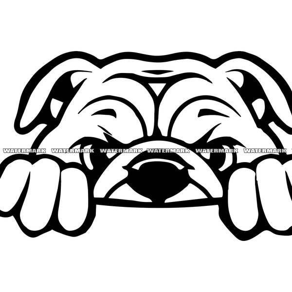 English Bulldog Peek a Boo #2 SVG, Cut File, DXF, PNG, Clipart, Silhouette, Cricut