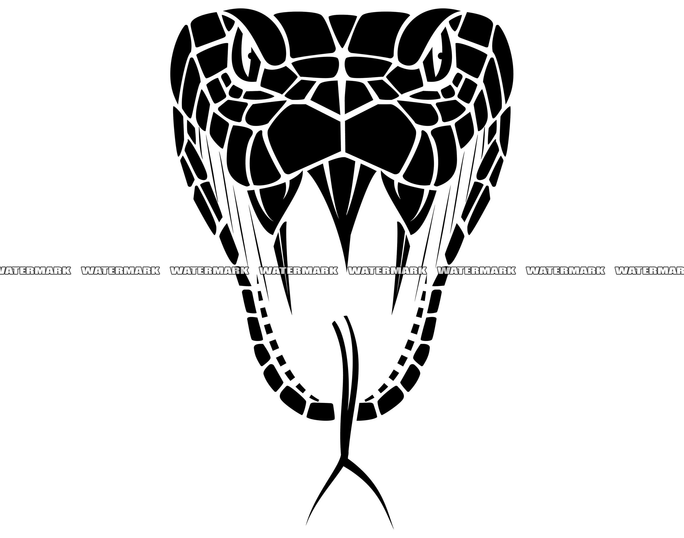 Viper Snake Drawing Face