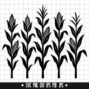 Corn Stalks Svg, Corn Plants Svg, Harvest Svg, Farm Svg, Agriculture Svg, Clipart Svg, Cut File Svg