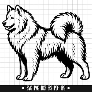 Samoyed SVG, Samoyed PNG, Samoyed DXF, Samoyed Silhouette, Samoyed Cut File, Samoyed Clipart, Samoyed