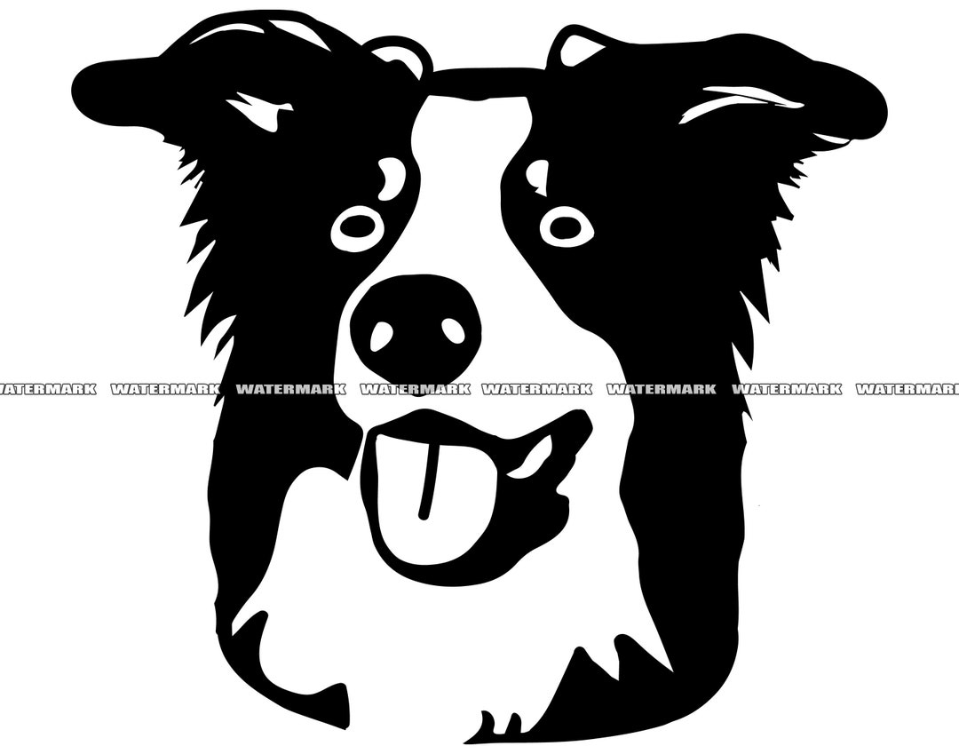 Border Collie SVG 1 Dog Breed Pet Puppy Animal Design Cartoon Mascot