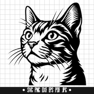 Op de afbeelding: Zwart-witte lijntekening van een kattenkop die naar rechts kijkt. De kat heeft een gestreept patroon op zijn vacht.
