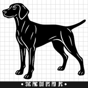 Vizsla SVG, Vizsla PNG, Vizsla DXF, Vizsla Silhouette, Vizsla Schnittdatei, Vizsla Clipart