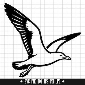 May include: Black and white silhouette of a seagull in flight. The seagull is facing right and has its wings spread out.