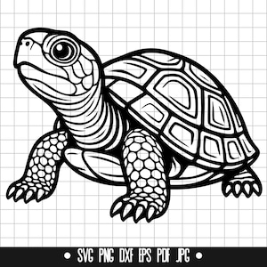 Tortue SVG, tortue DXF, tortue PNG, tortue couper fichier, clipart, fichier numérique, fichier Svg, silhouette, animal design