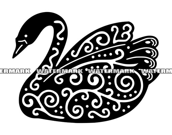 fancy swan