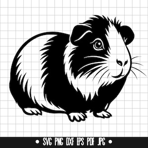 Porcellino d'India in formato SVG, Animale domestico carino in formato SVG, Roditore soffice in formato SVG, Clipart di porcellino d'India in formato SVG, Porcellino d'India in formato SVG, Piccolo animale in formato SVG, File di taglio di porcellino d'India in formato SVG, Animale domestico in formato SVG