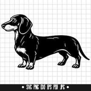 Dachshund SVG, Dachshund PNG, Dachshund DXF, Dachshund Silhouette, Dachshund Cut File, Dachshund Clipart, Dachshund