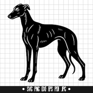 Levriero grigio SVG, Levriero grigio PNG, Levriero grigio DXF, Silhouette di Levriero grigio, File di taglio di Levriero grigio, Clipart di Levriero grigio, Levriero grigio