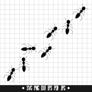 Ant SVG, Ants SVG, Anthill SVG, Formicary Svg, Ant Dxf, Ants Dxf, Ant Cut File, Ant Svg Cut file