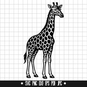 Giraffe SVG, Giraffe DXF, Giraffe PNG, Giraffe Cut File, Giraffe Clipart, Digital File, Svg File, Silhouette, Instant Download