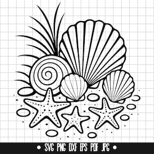 May include: Black and white line art illustration of seashells, starfish, and beach elements. The design includes various shell shapes, three starfish, and the text "SVG PNG DXF EPS PDF JPG" at the bottom.