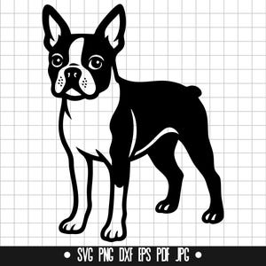 Boston Terrier SVG, Boston Terrier PNG, Boston Terrier DXF, Boston Terrier Silhouette, Boston Terrier Schnittdatei, Boston Terrier Clipart