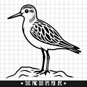 Shorebird SVG, Seabird DXF, Coastal Bird PNG, Clipart, Digital Cut File, Svg File, Instant Download