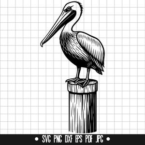 Pellicano SVG, Pellicano DXF, Pellicano PNG, File di taglio del pellicano, Clipart, File digitale, File Svg, Silhouette, Download istantaneo
