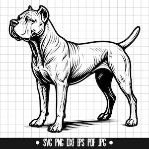 Cane Corso SVG, Cane Corso PNG, Cane Corso DXF, Cane Corso Silhouette, Cane Corso Cut File, Cane Corso Clipart, Cane Corso