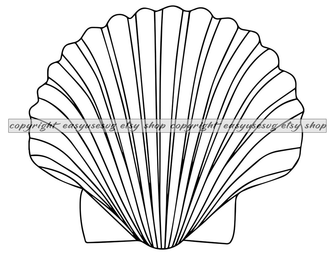 Shell Dxf Seashell SVG Seashell DXF Seashell PNG Seashell Clipart - Etsy Canada