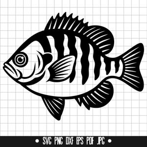 Bluegill Fish SVG, Bluegill DXF, Bluegill PNG, Bluegill Cut File, Clipart, Digital File, Svg File, Silhouette