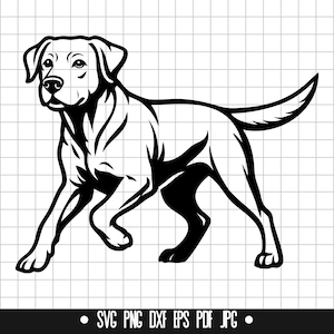 Labrador SVG, Labrador PNG, Labrador DXF, Labrador Silhouette, Labrador Cut File, Labrador Clipart, Labrador