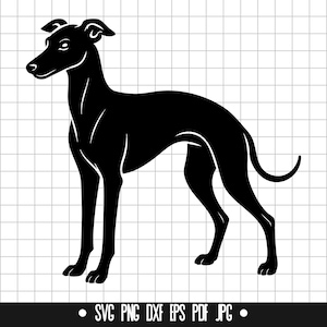 Levriero italiano in formato SVG, Levriero italiano in formato PNG, Levriero italiano in formato DXF, Silhouette di levriero italiano, File di taglio di levriero italiano