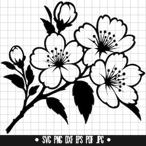 Flor de cerezo SVG, Floral SVG, Flores de primavera SVG, Flor SVG, Naturaleza SVG, Sakura SVG, Flor SVG, Rama SVG
