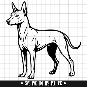 Mexican Hairless Dog SVG, Mexican Hairless Dog PNG, Mexican Hairless Dog DXF, Mexican Hairless Dog Silhouette, Mexican Hairless Dog Cut File