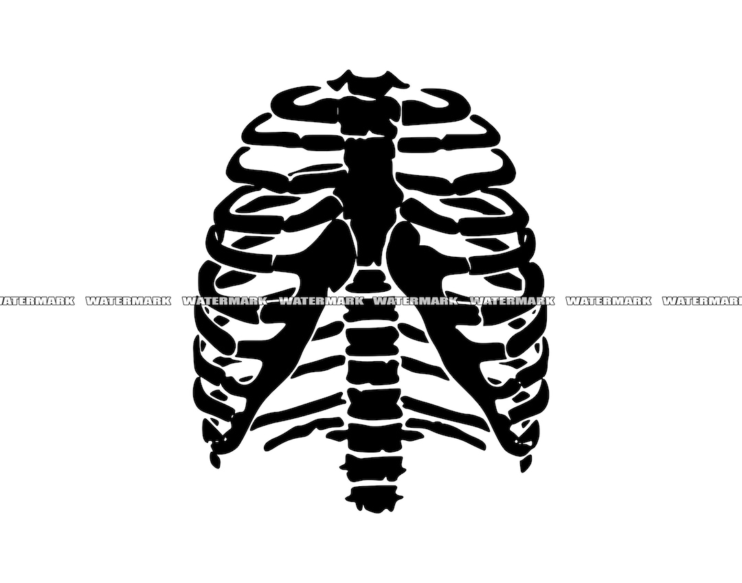 Skeleton Ribs SVG Skeleton Ribs Cut File Skeleton Ribs DXF Etsy