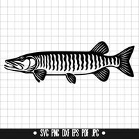 Redfish Red Drum Design | Svg Png Dxf Eps Pdf | Transparent Vector ...