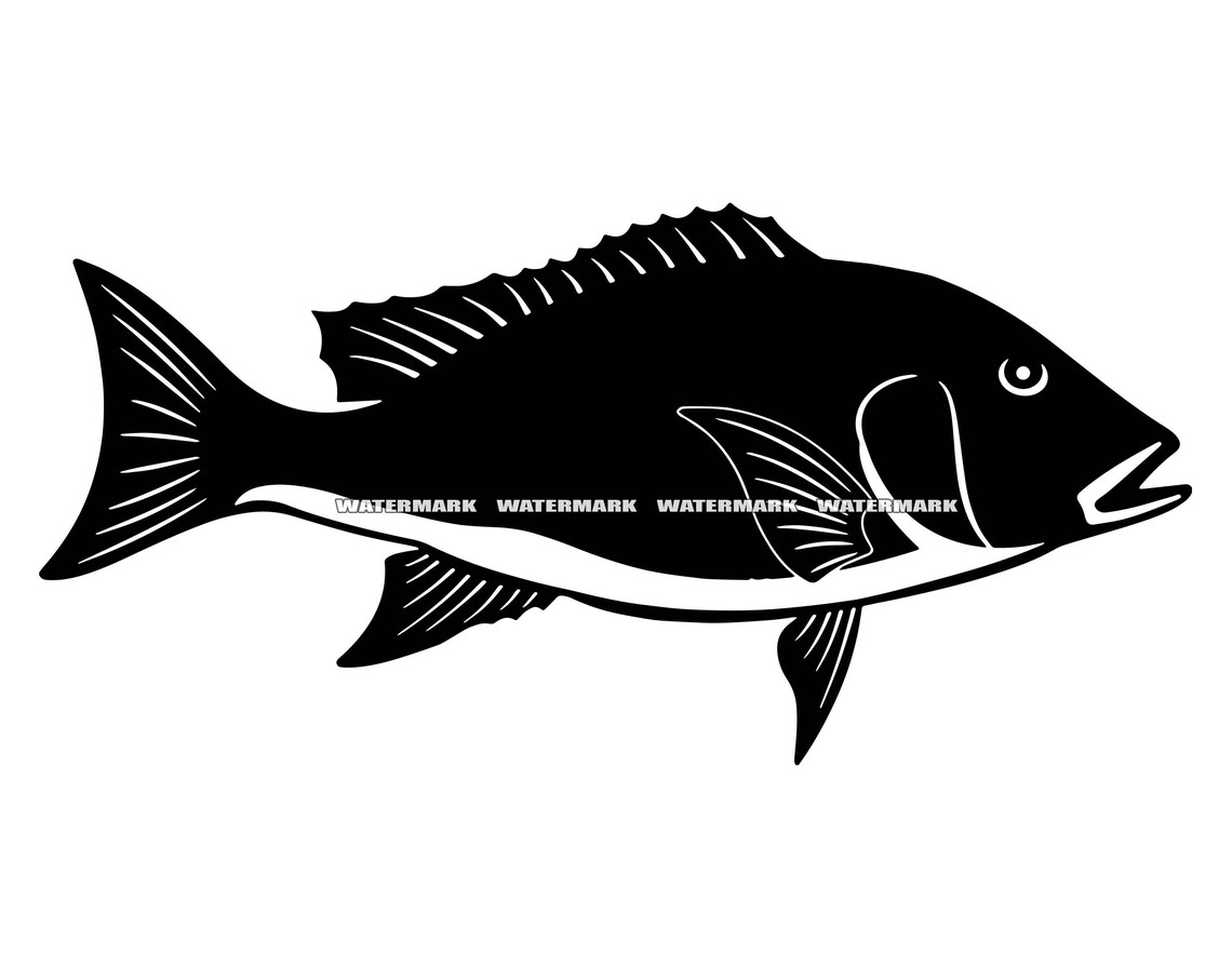 Fish Svg 1 Snapper Fish Svg Snapper SVG Snapper DXF - Etsy