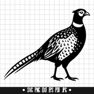 Può includere: Silhouette in bianco e nero di un fagiano con una lunga coda e un motivo dettagliato sul suo corpo.