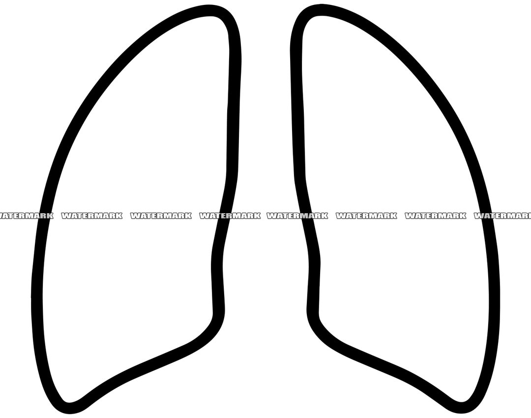 Lungs SVG 5 Lungs Cut File Lungs DXF Lungs PNG Lungs - Etsy