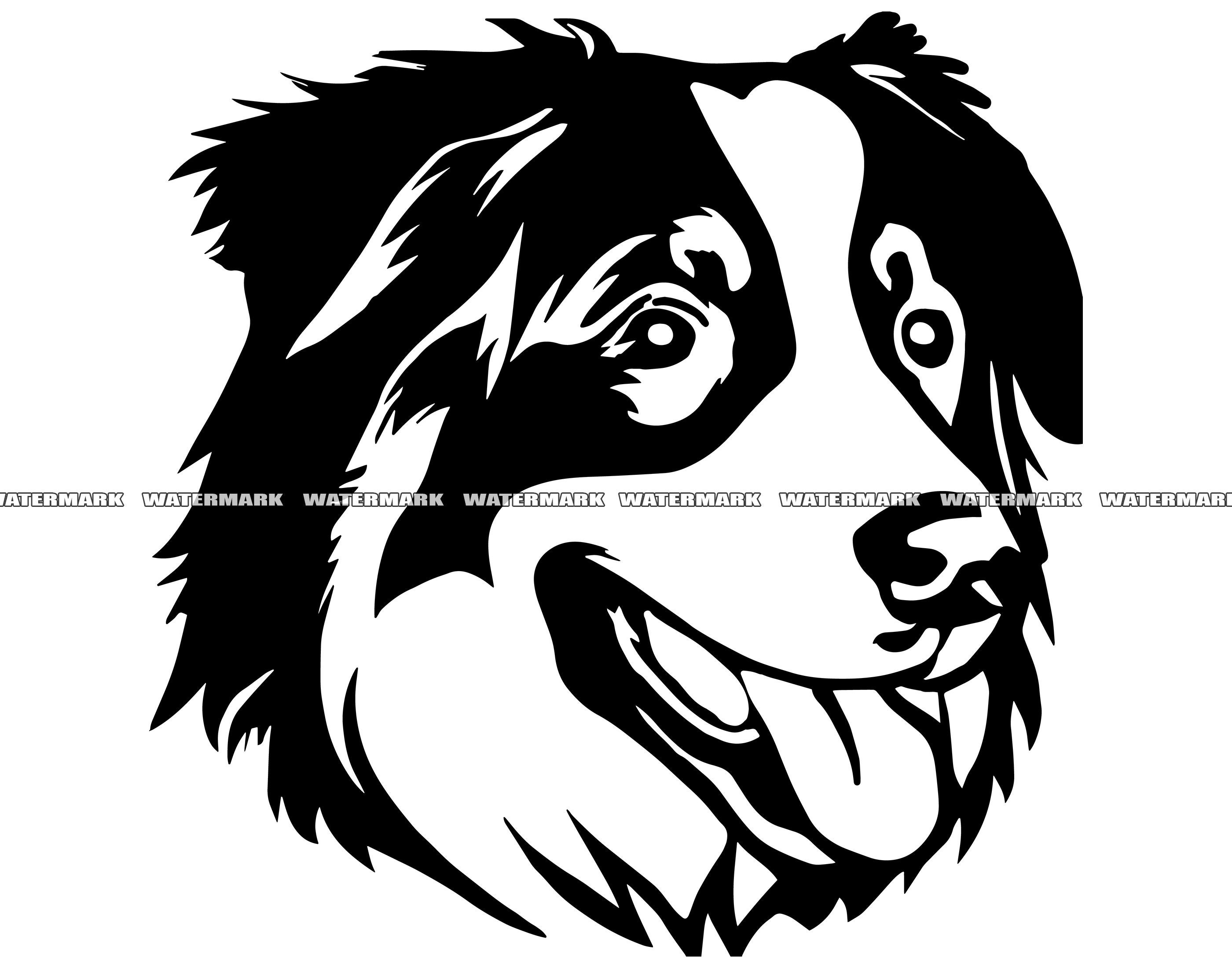 Dessin Berger Australien Noir Et Blanc Berger australien SVG 2 Fichier coupé berger australien - Etsy Canada