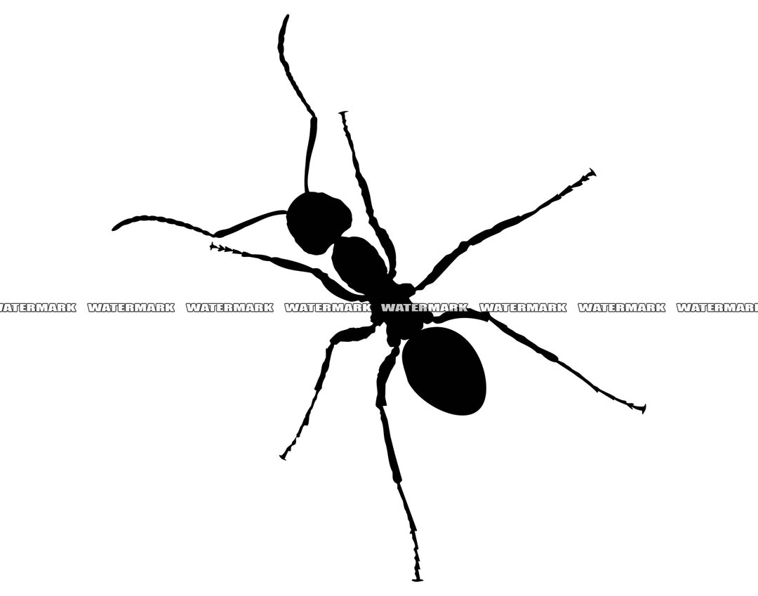 Ant SVG 2 Ants Svg Ant Cut File Ant DXF Ant PNG Ant - Etsy Canada