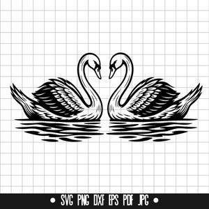 Casal de cisnes SVG, Par de cisnes PNG, Cisne romântico DXF, Arquivo de corte, Clipart de pássaros aquáticos, Download digital