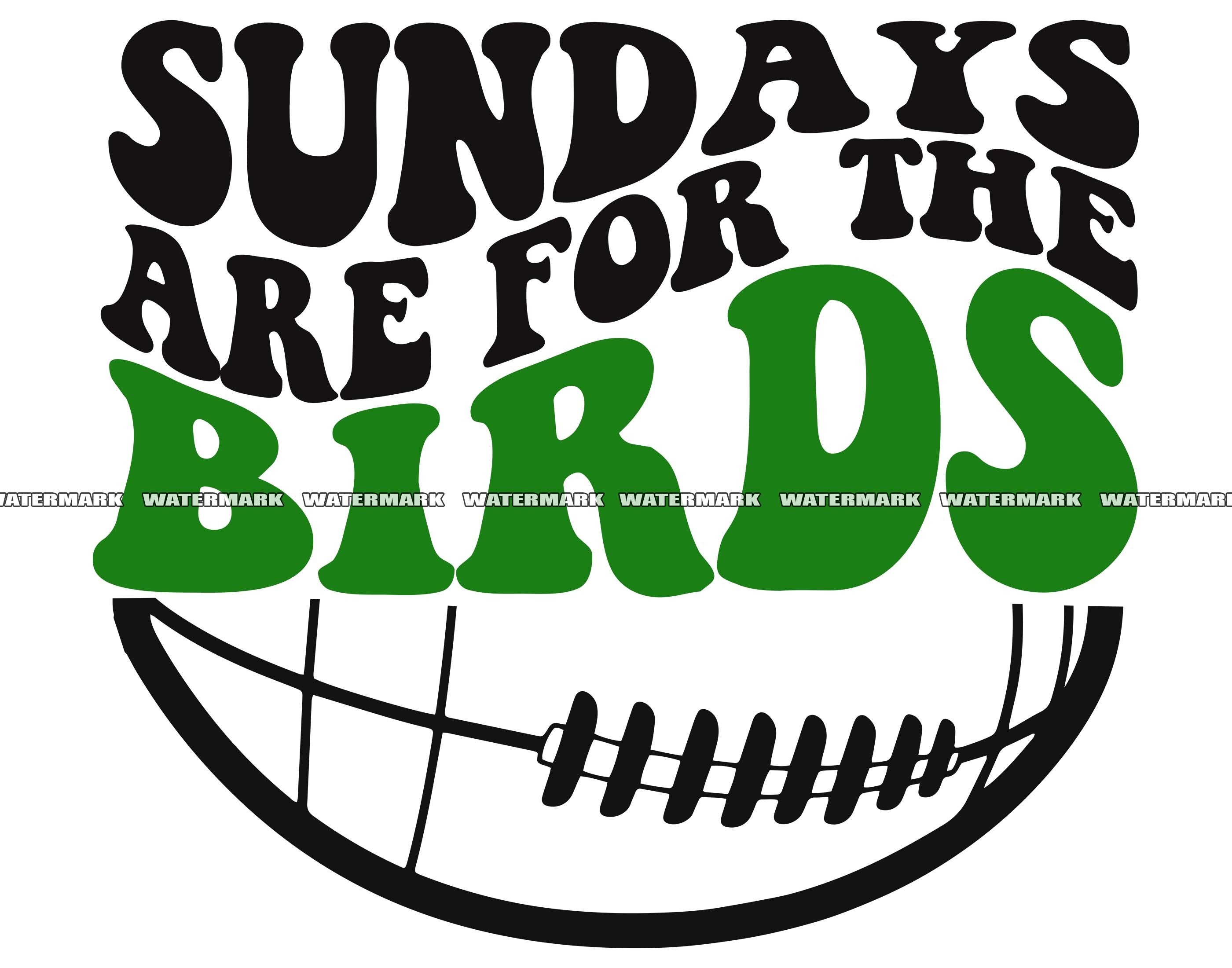 Sundays Are for The Birds Sweatshirt Go Birds Eagles Shirt 2 Sides - Happy  Place for Music Lovers