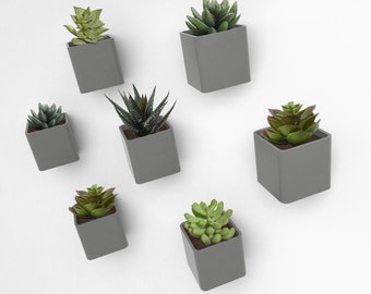 Wall planter CUBE, ideal for succulents, cacti and other house plants, modern decorative design, 3d printed [Made in Canada]