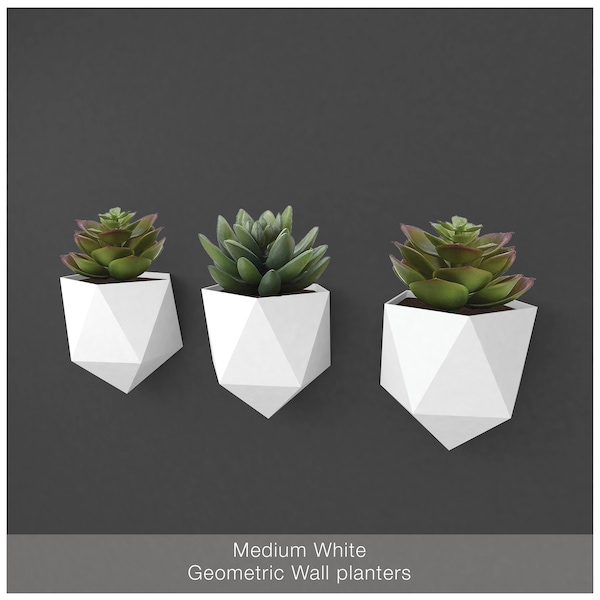 Geometric wall planter, ideal for succulents, cacti and other house plants, modern decorative, light weight - 3d printed [Made in Canada]