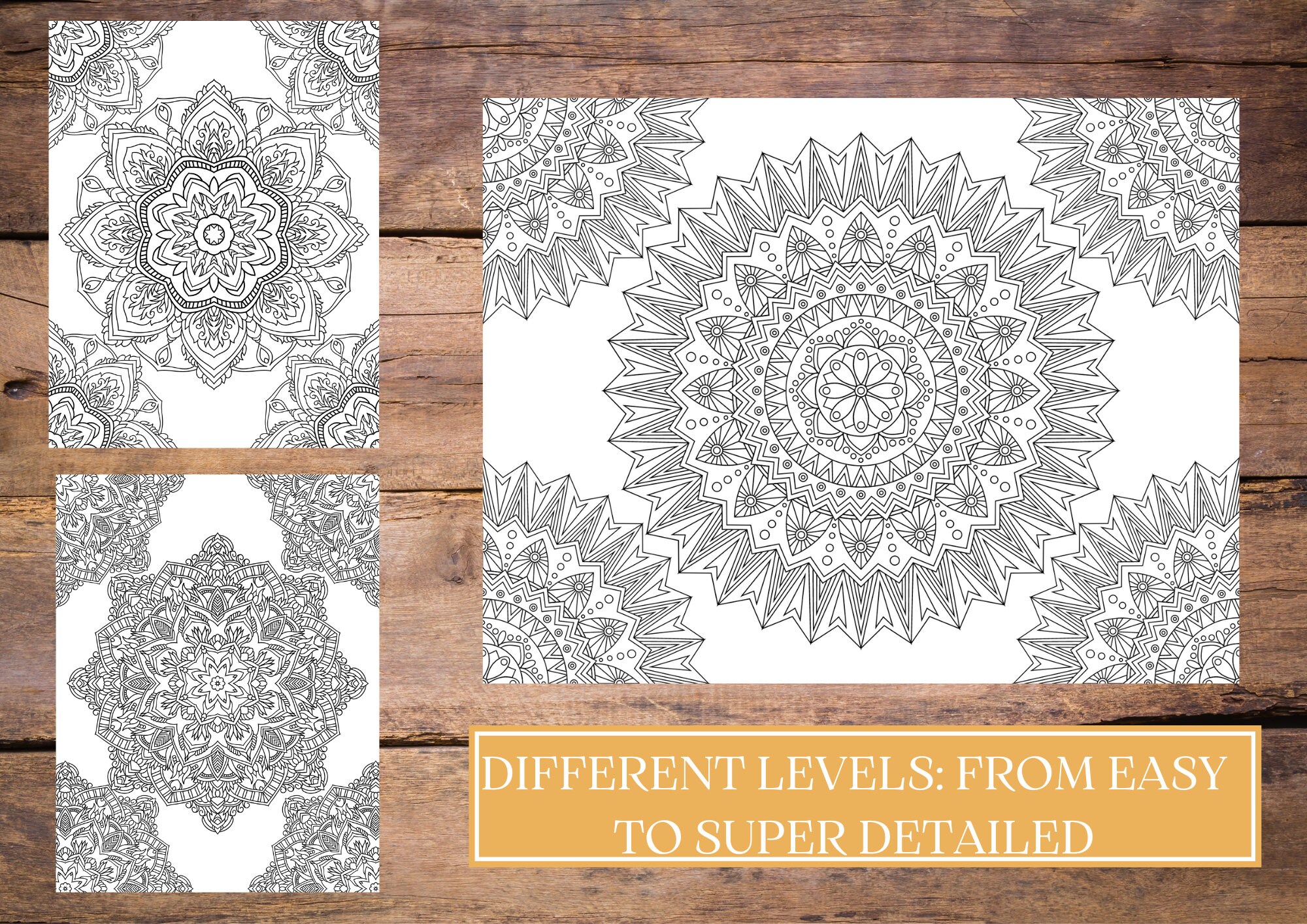 Mandala Coloring Book Printable Coloring Pages Adult - Etsy