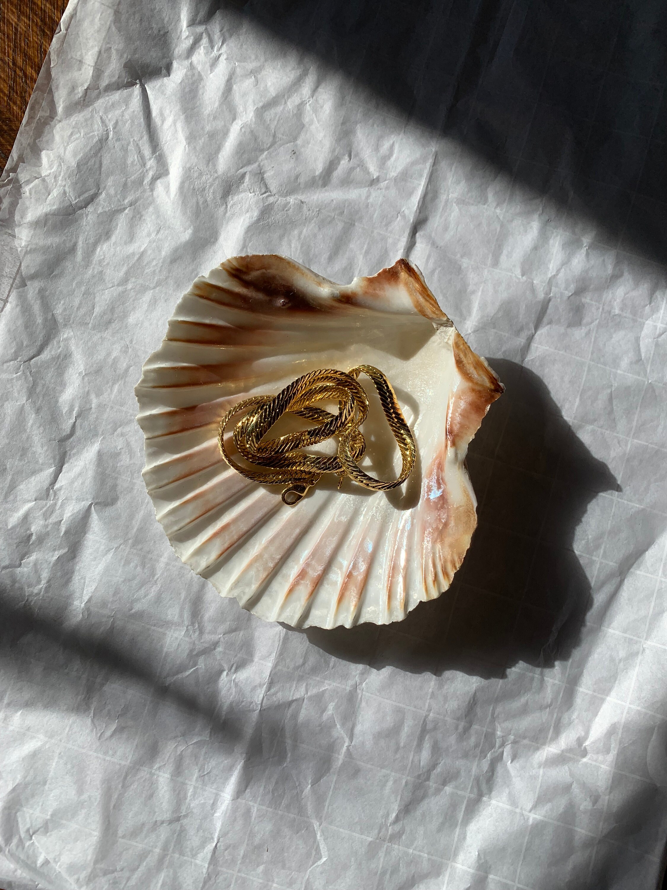 Coupelle Coquillage Naturel