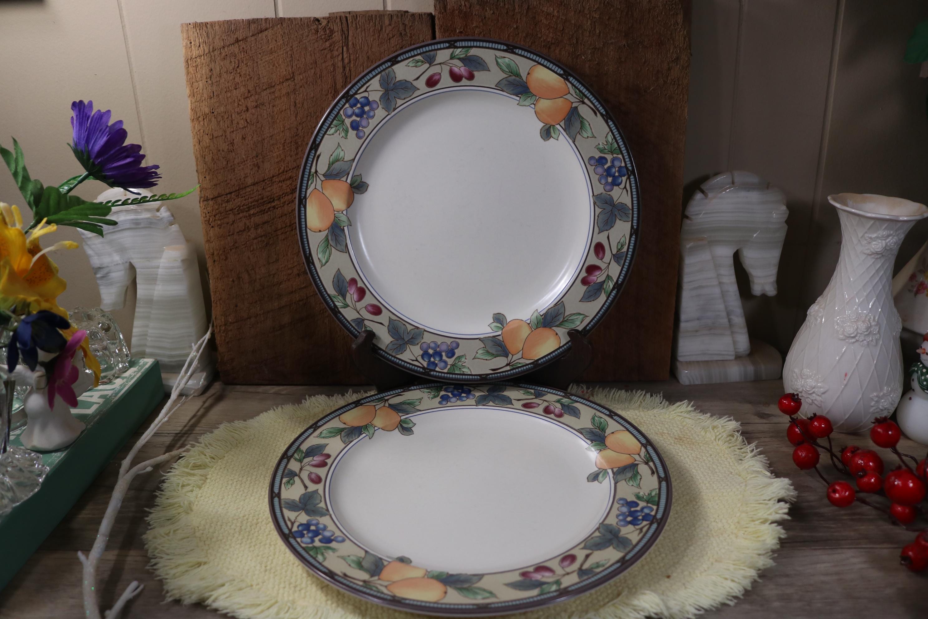 Mikasa Garden Harvest Garden Dining Plates Garden Harvest 16 Piece