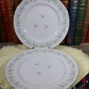 Forever Spring by by Johann Haviland, Set of 2 dinner plates, Beautiful Garden themed China. Circa: 1982