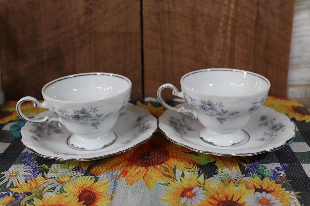 Johann Haviland Blue Garland (bavaria Backstamp) Coffee Cup and