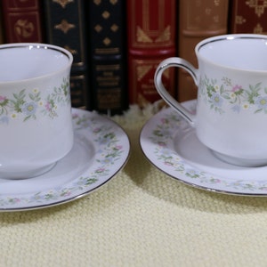 Forever Spring by by Johann Haviland, Set of 2 dinner plates, Beautiful Garden themed China. Circa: 1982