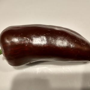 Op de afbeelding: Een donkerbruine paprika met een glanzende afwerking.
