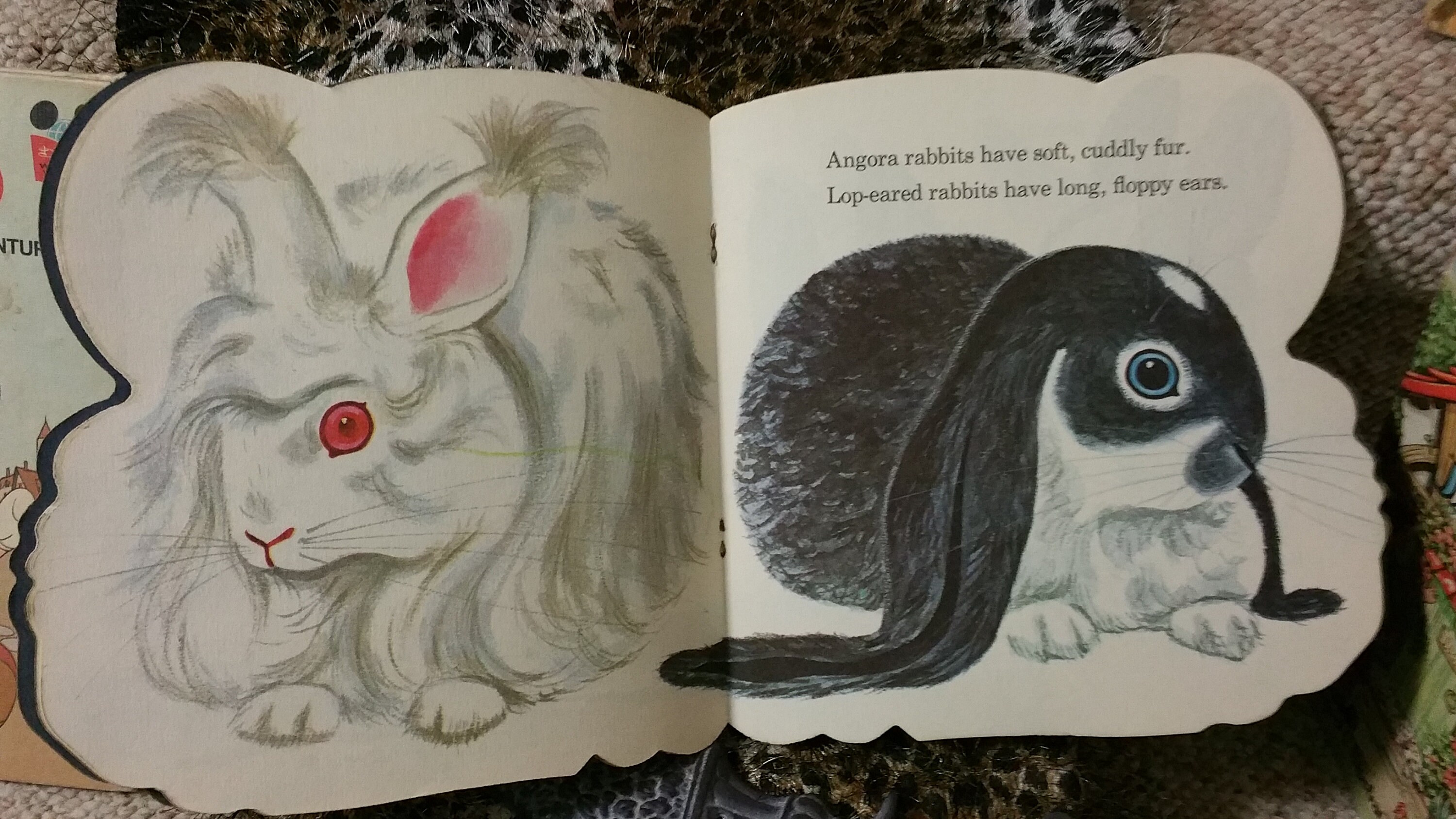 1965 the Bunny Book Vintage Children Kids - Etsy