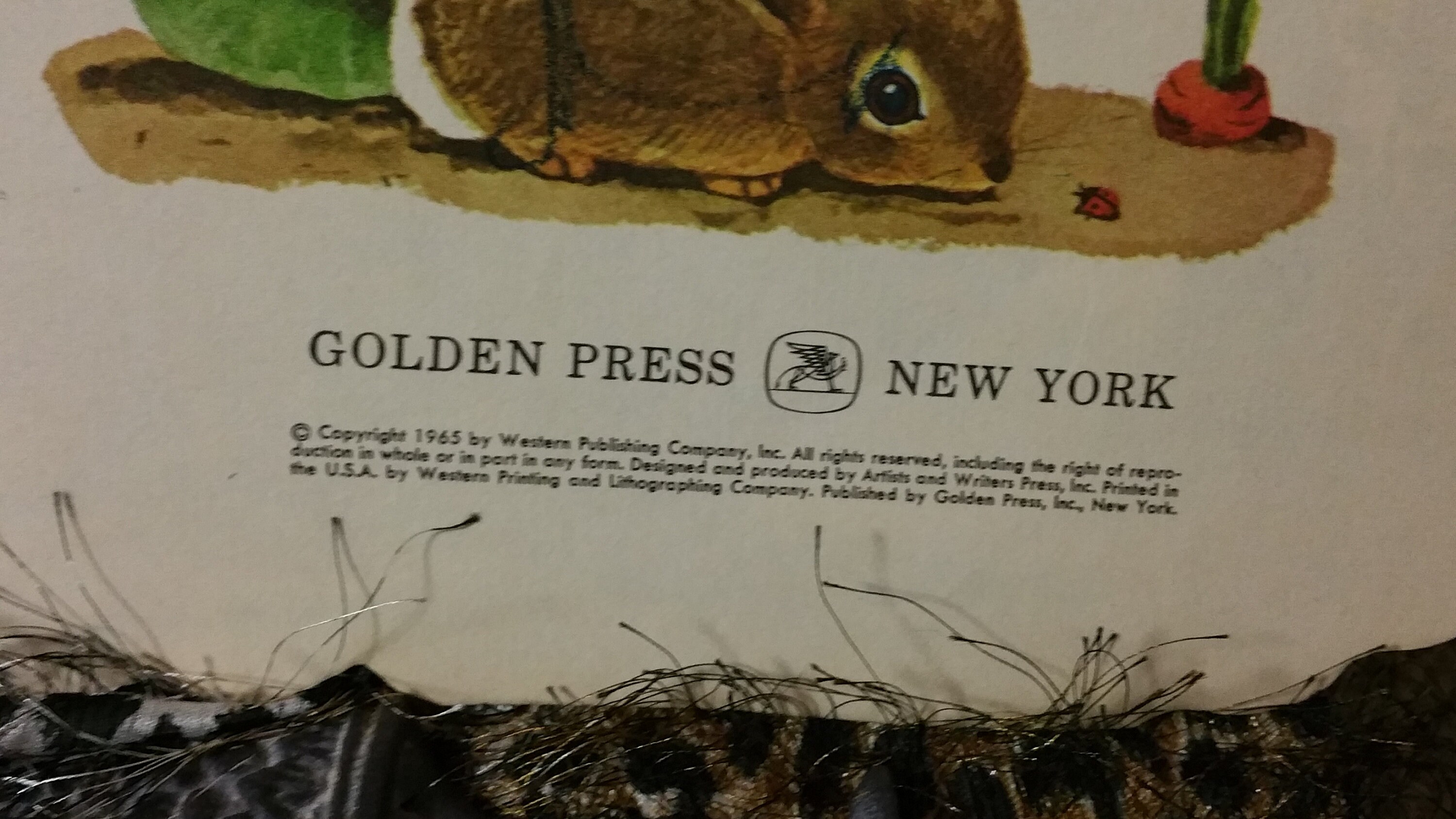 1965 the Bunny Book Vintage Children Kids - Etsy