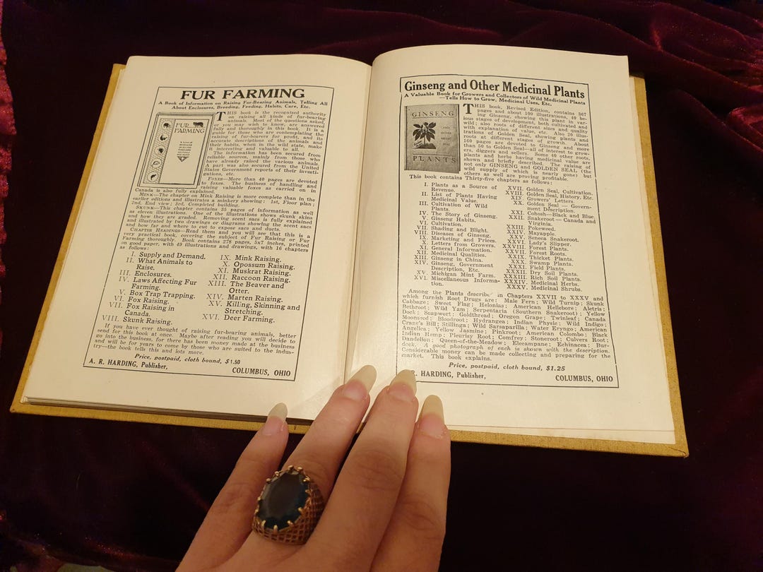 1906 Antique Book First Edition - A.R. Harding Mink Trapping Self ...