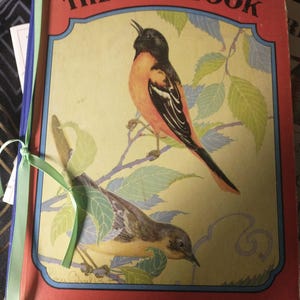 Könnte beinhalten: Vintage Kinderbuch mit dem Titel "The Bird Book". Das Cover zeigt Illustrationen von zwei Vögeln auf Ästen mit grünen Blättern. Das Buch hat einen roten Rand und ist mit einem grünen Band gebunden.