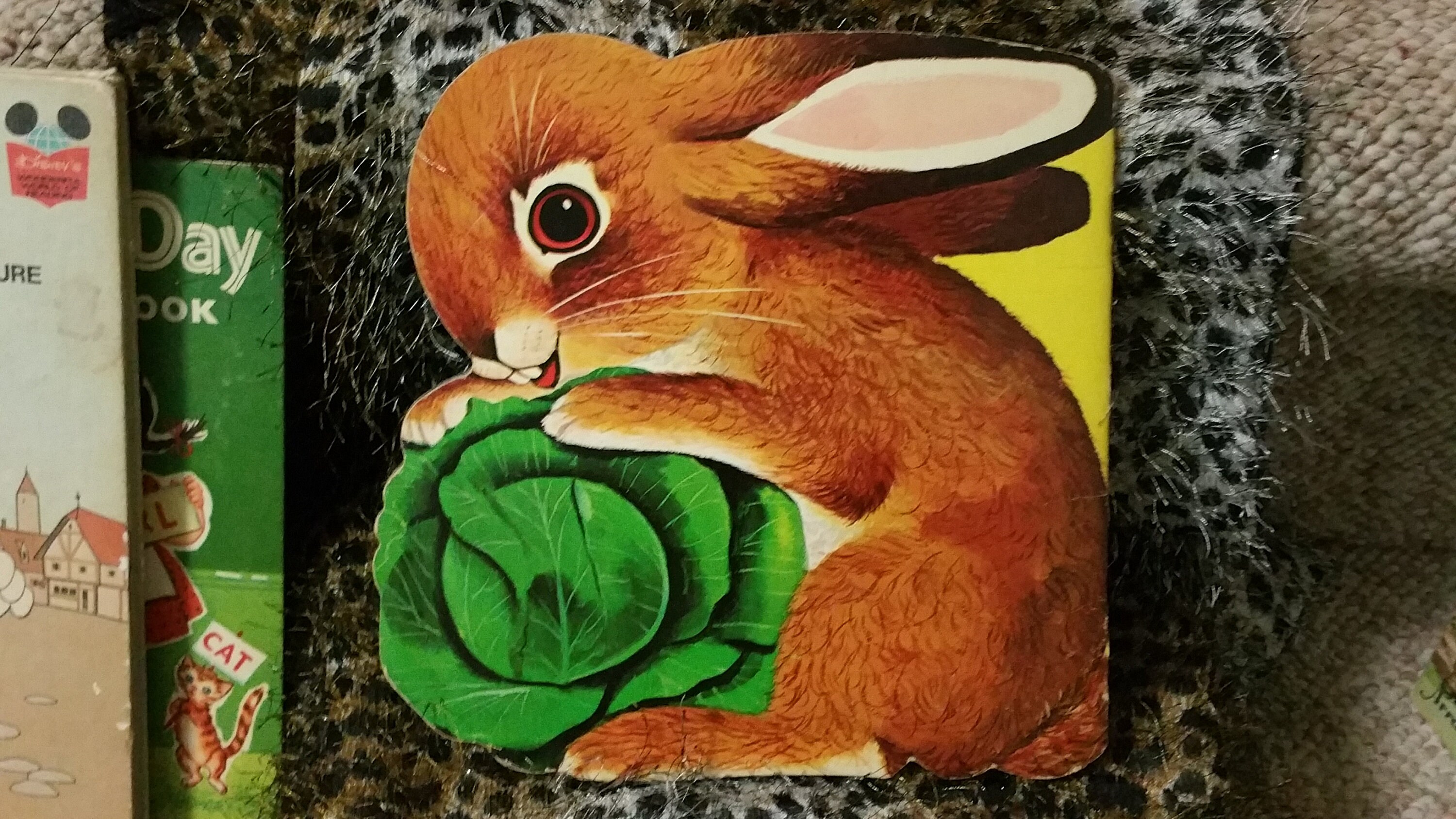 1965 the Bunny Book Vintage Children Kids - Etsy